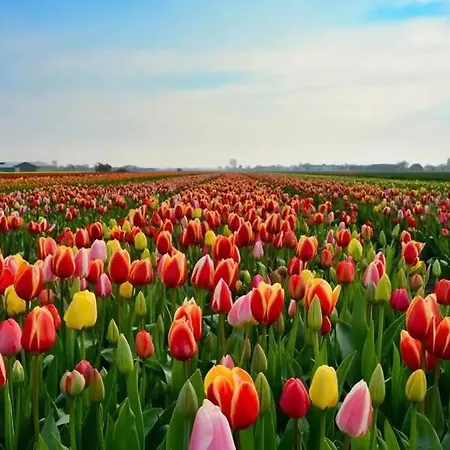 شقة Beachhouse 12 Sea, Aan Zee *