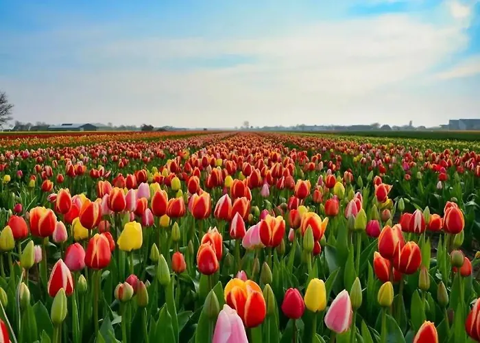 Appartement Beachhouse 12 Sea, Aan Zee *