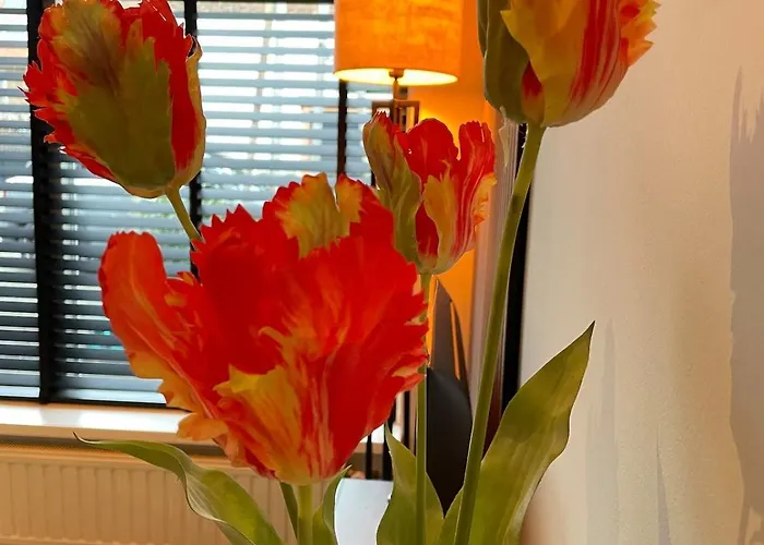 Beachhouse 12 Sea, Aan Zee شقة