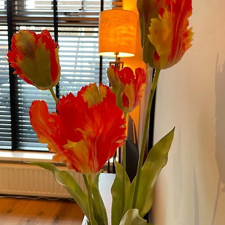 Beachhouse 12 Sea, Aan Zee Apartman